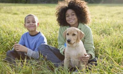 Pets and their importance to children